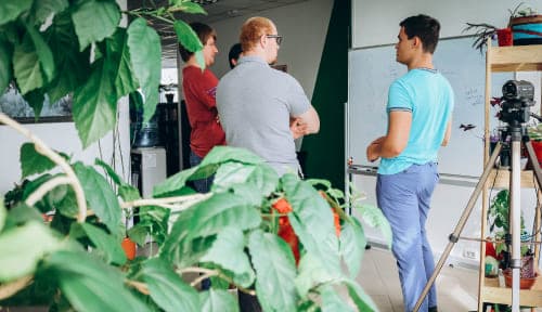 Бизнес решения превью