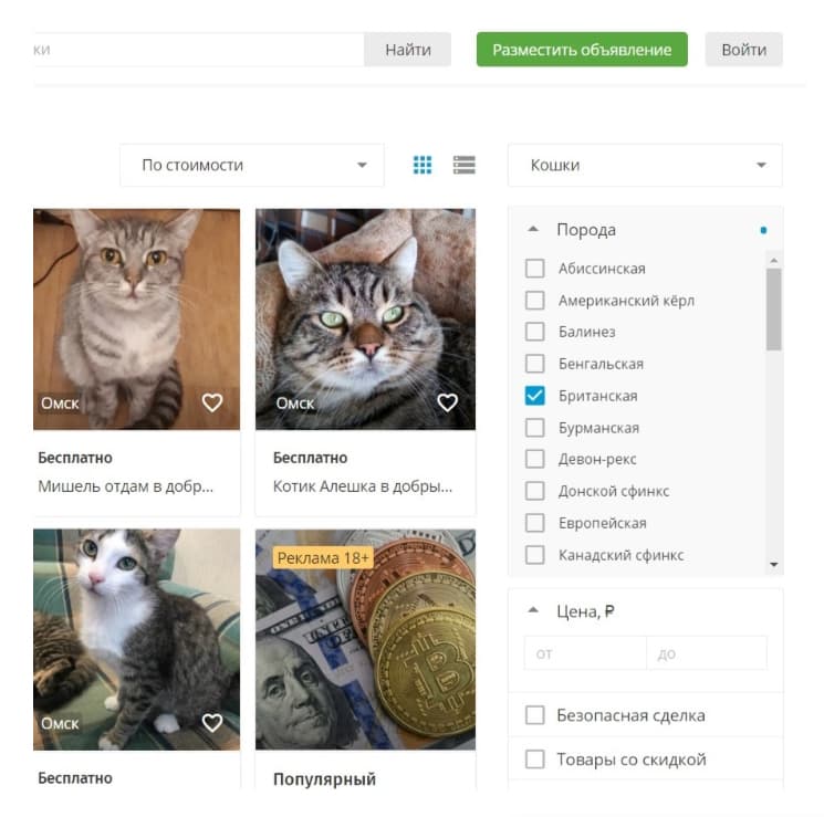 авито котики
